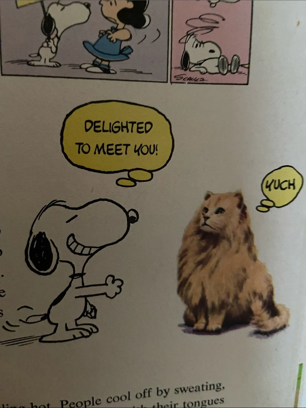 Vintage 70s 1970s Snoopy Peanuts Charlie Brown's Super Book Questions Answers hc